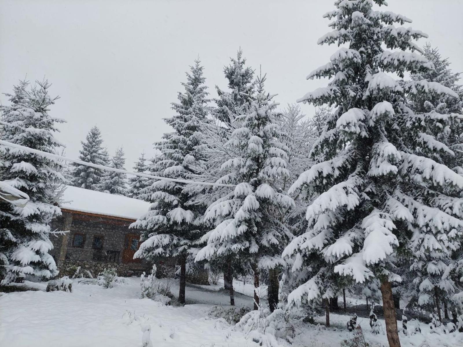 Guest House Hyrmet Demushi Valbonne Exterior foto