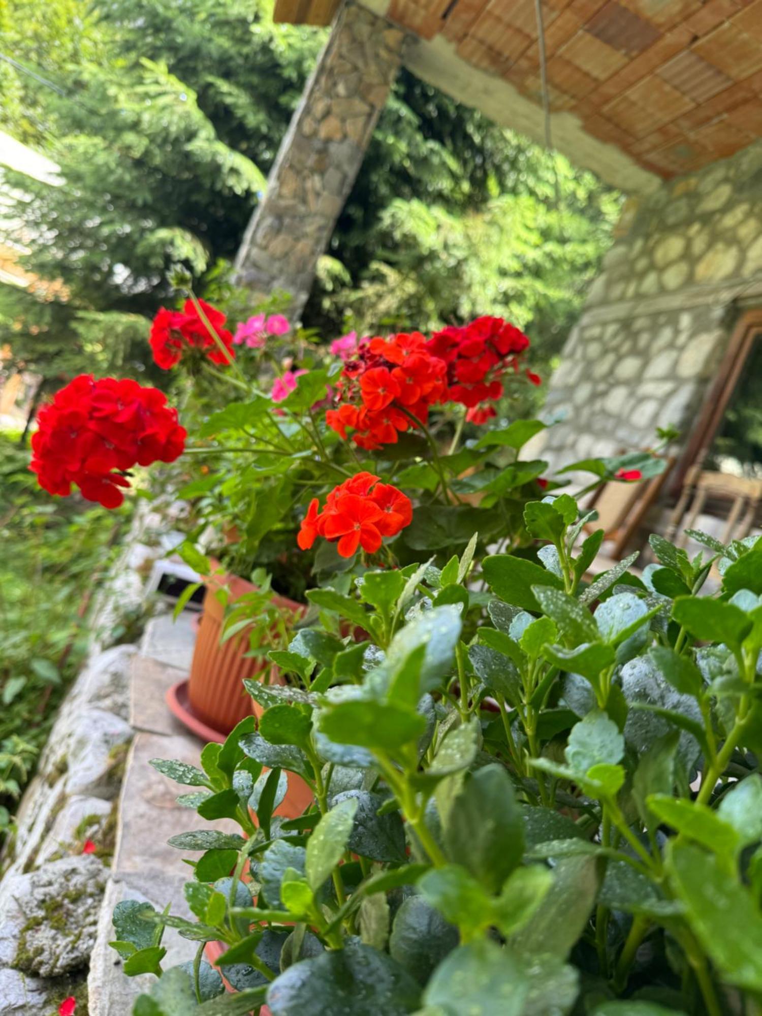 Guest House Hyrmet Demushi Valbonne Exterior foto